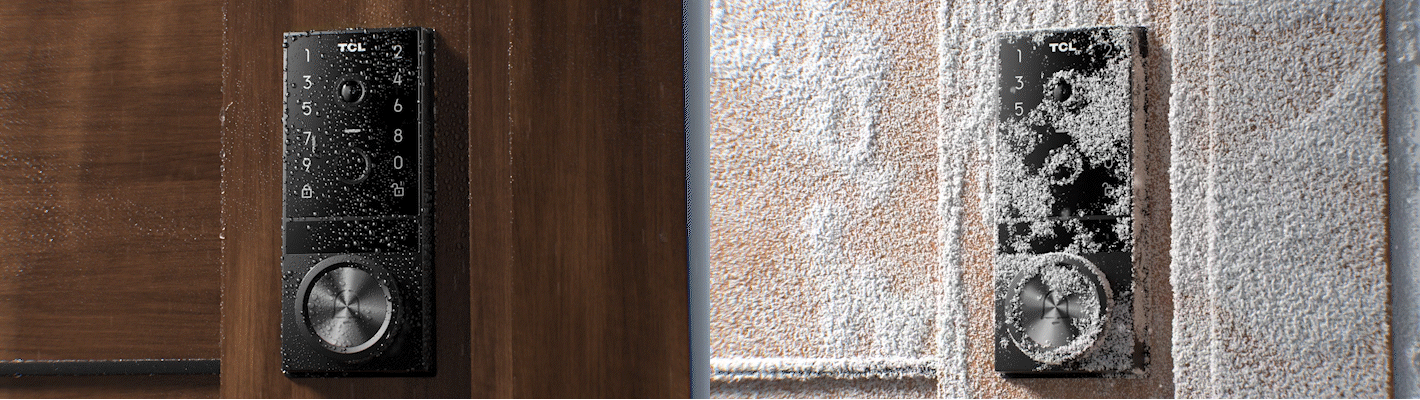 FALCAM Move & TCL Video Clips