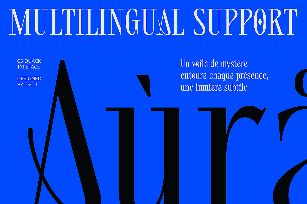 优雅极简高端奢华画册杂志请柬标题衬线压缩英文字体