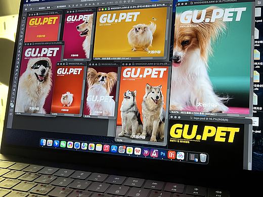 GU.PET｜宠物摄影杂志正式上线