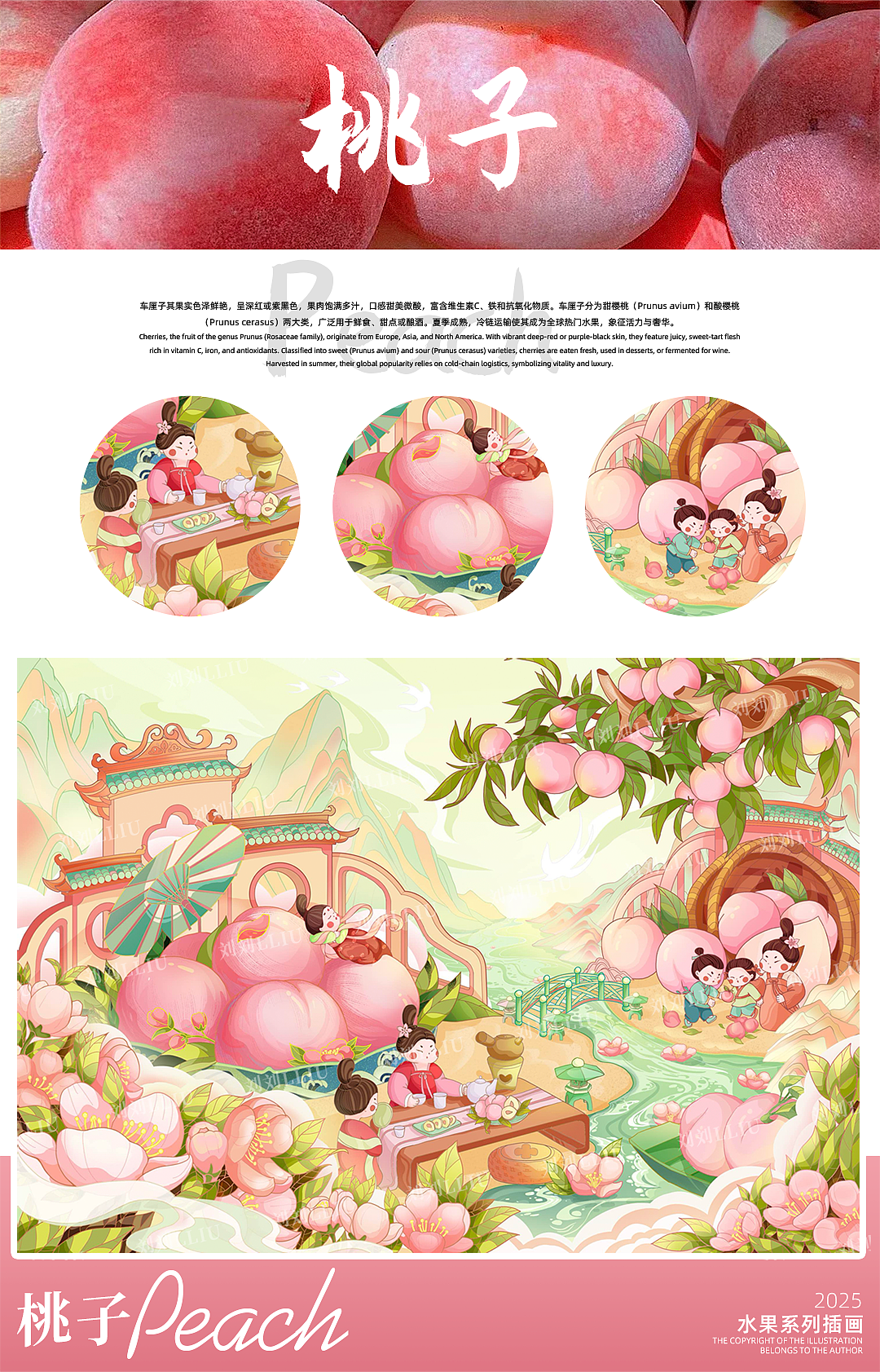 缤纷果韵系列插画