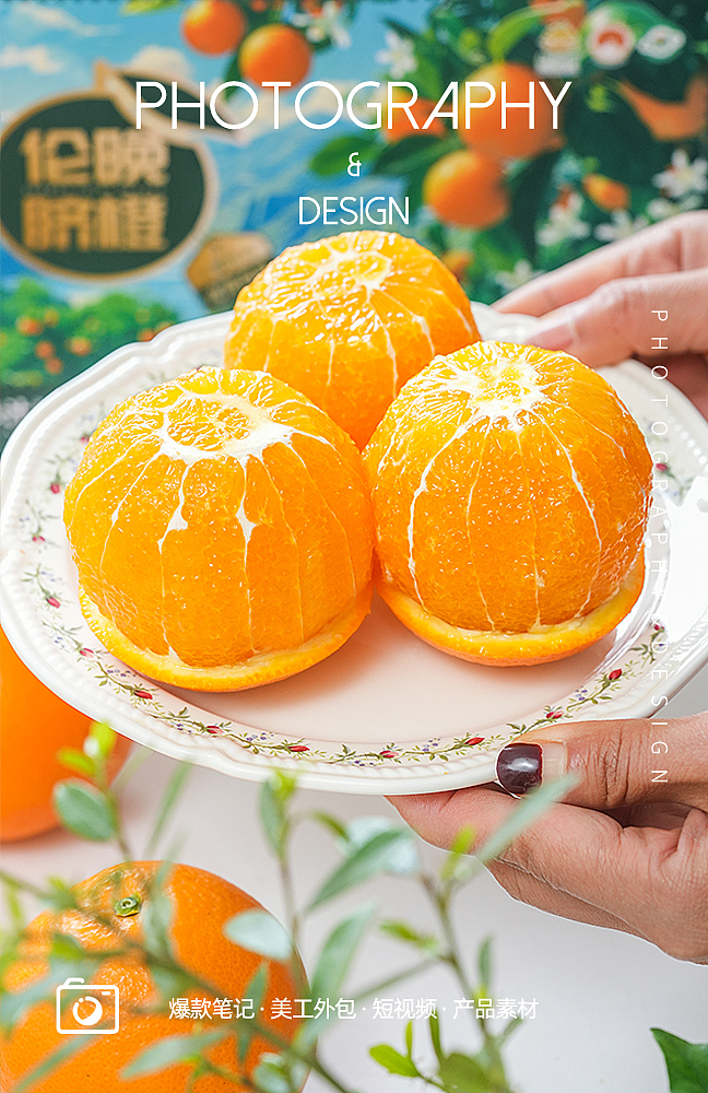 3月鲜橙，秭归独有，新鲜水果，地标农产品 美食摄影