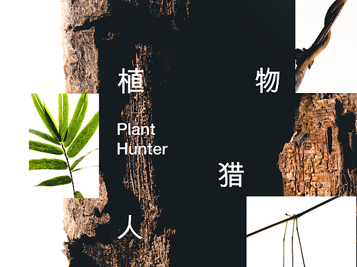 植物猎人 Plant Hunter