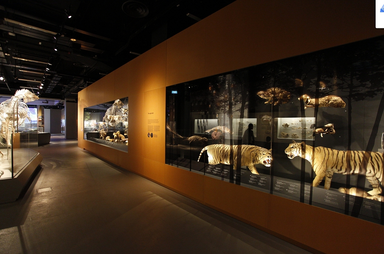 博物馆展示柜 自然博物馆展柜案例 克里克展柜（图ZMzg4MzI3Mzgw） - 展陈设计 - 站酷设计师克里克博物馆展柜原创素材 - 站酷ZCOOL