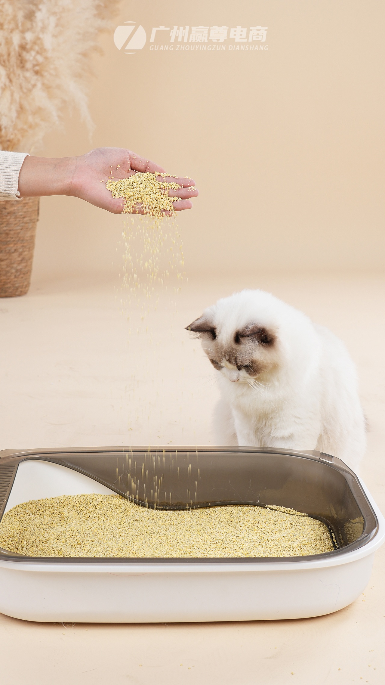 广州猫砂拍摄|猫砂拍照|宠物用品拍摄|商品拍照