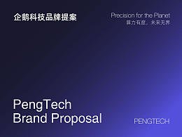 企鵝科技品牌設(shè)計(jì)提案【逐浪派對(duì)】