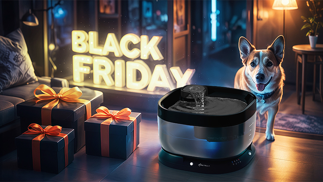 【黑五/BLACK FRIDAY】 宠物AI-活动产品图（图ZMzg4MzQ0NTA0） - AI作品 - 站酷设计师Hanson_Yan原创素材 - 站酷ZCOOL