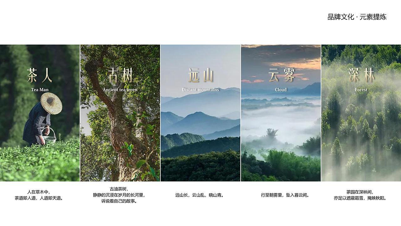 岭南绿晟|茶叶品牌全案策划（图ZMzg4MzUxNzky） - 包装 - 站酷设计师西安前道品牌策划原创素材 - 站酷ZCOOL