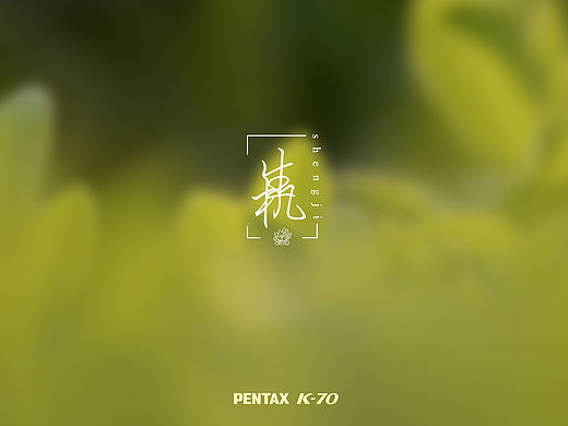 🌿镜头捕捉春日生机|每一片新芽都在说“你好
