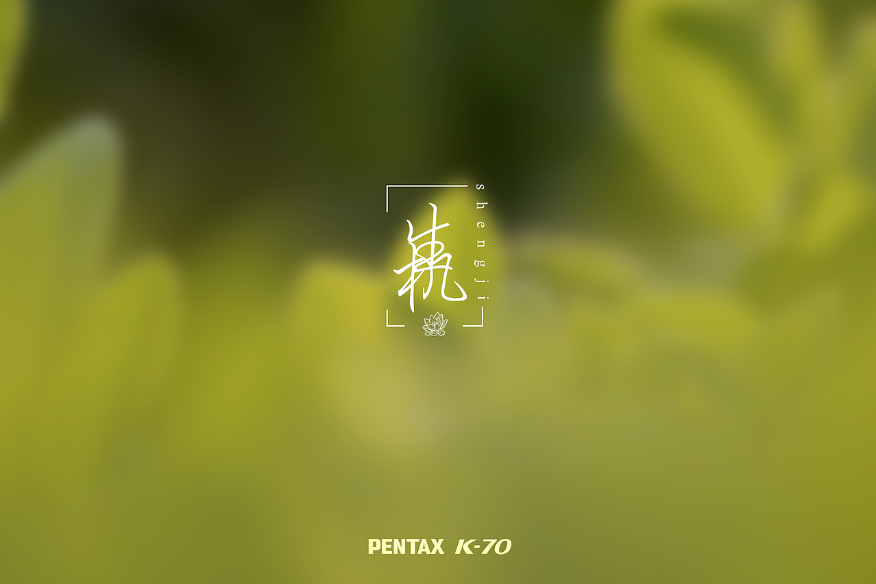 ??鏡頭捕捉春日生機(jī)｜每一片新芽都在說(shuō)“你好（圖ZMzg4MzQ5MDg0） - 風(fēng)光攝影 - 站酷設(shè)計(jì)師Leo_Ll原創(chuàng)素材 - 站酷ZCOOL