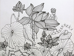 插画