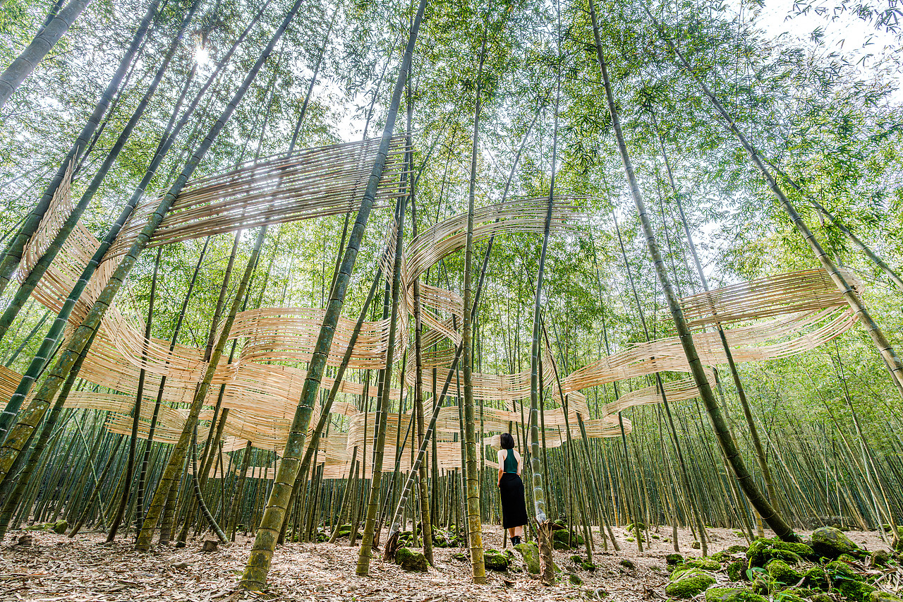 『森林的衣裳』風聲化作針線，縫製一襲流動的華裳（图ZMzg4MzY5MDgw） - 实验艺术 - 站酷设计师林靖格原创素材 - 站酷ZCOOL