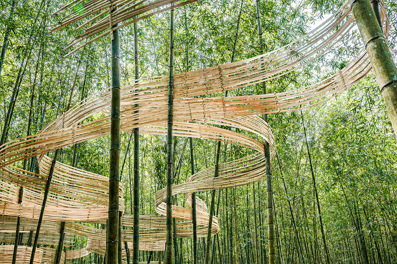 『森林的衣裳』風聲化作針線，縫製一襲流動的華裳（图ZMzg4MzY5MDk2） - 实验艺术 - 站酷设计师林靖格原创素材 - 站酷ZCOOL