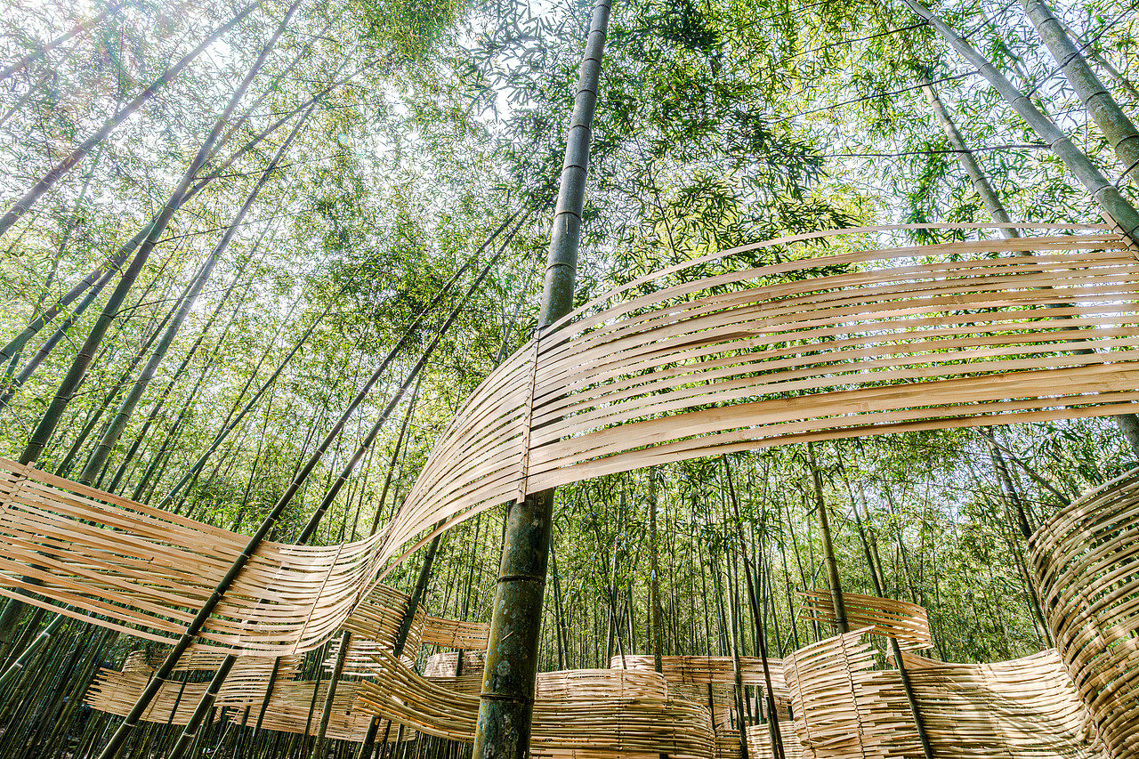 『森林的衣裳』風聲化作針線，縫製一襲流動的華裳（图ZMzg4MzY5MjAw） - 实验艺术 - 站酷设计师林靖格原创素材 - 站酷ZCOOL