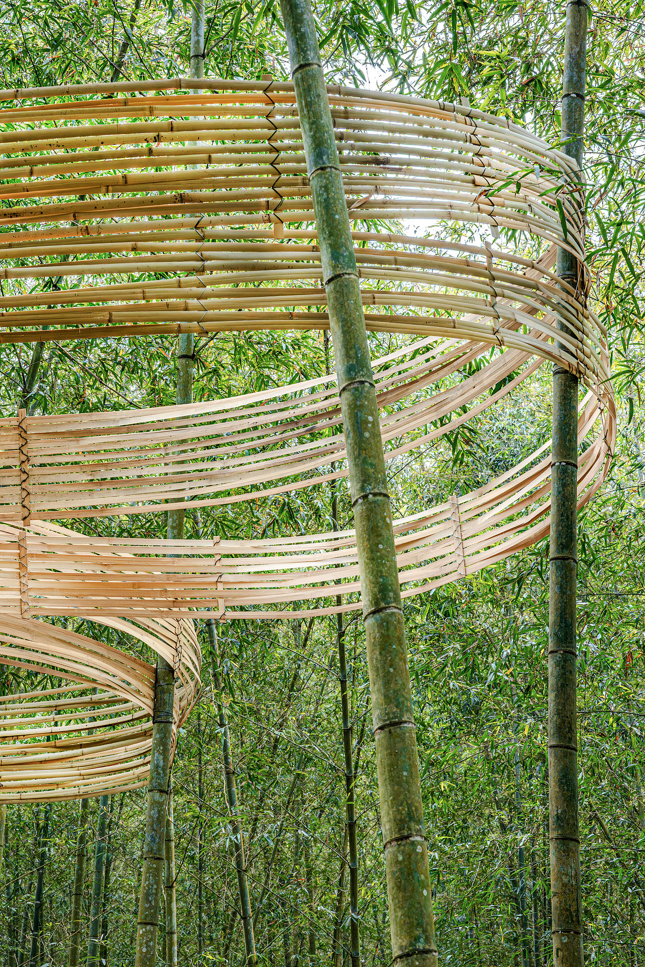 『森林的衣裳』風聲化作針線，縫製一襲流動的華裳（图ZMzg4MzY5MjIw） - 实验艺术 - 站酷设计师林靖格原创素材 - 站酷ZCOOL