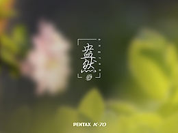 ??鏡頭里的春日盎然｜每一幀都是春天的心跳信