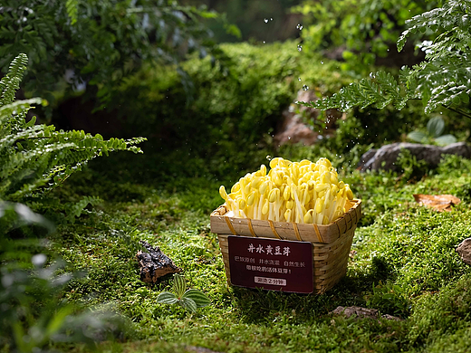 巴奴火锅 X 照见三贤 | 美食摄影
