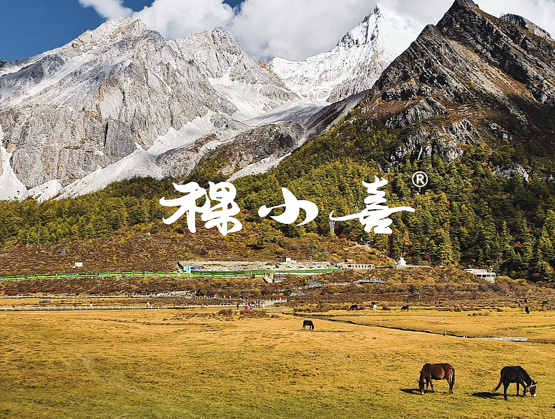 稞小喜 | 新藏式鲜奶茶品牌设计案例