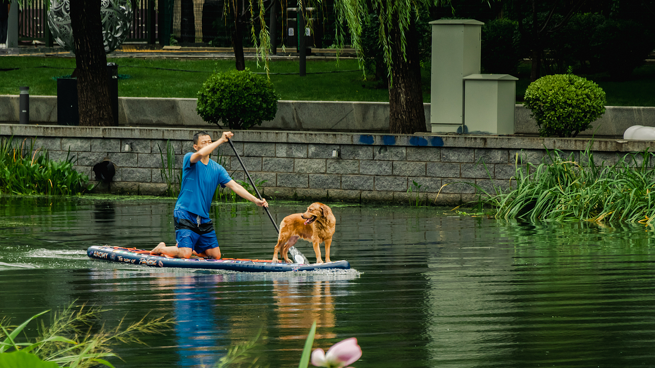 这些年出现我在镜头里的陌生人