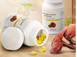 23-24年国风详情页合集