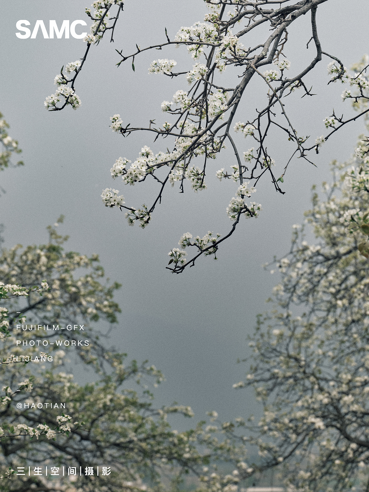 梨花园（图ZMzg4NDA1Nzcy） - 风光摄影 - 站酷设计师摄影师浩天原创素材 - 站酷ZCOOL