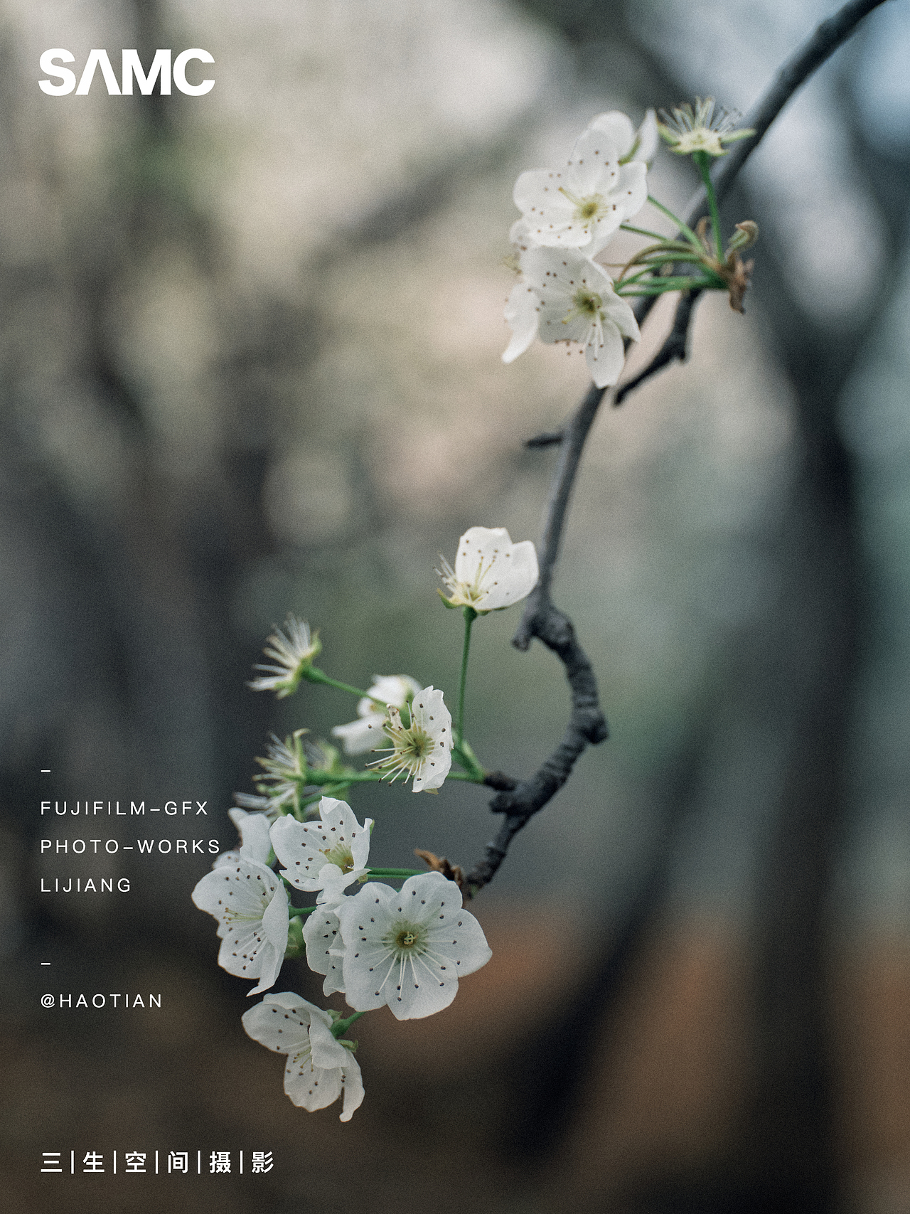梨花园（图ZMzg4NDA1Nzgw） - 风光摄影 - 站酷设计师摄影师浩天原创素材 - 站酷ZCOOL