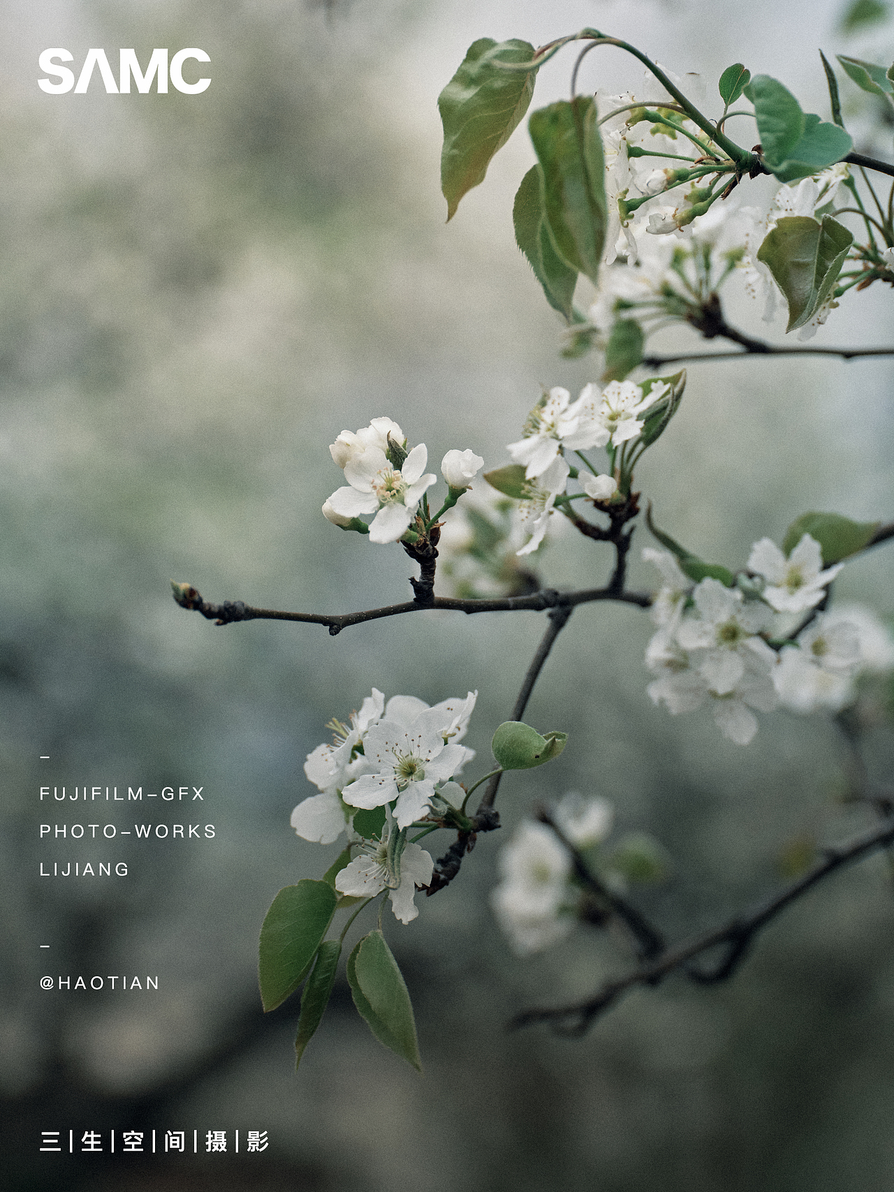 梨花园（图ZMzg4NDA1Nzk2） - 风光摄影 - 站酷设计师摄影师浩天原创素材 - 站酷ZCOOL