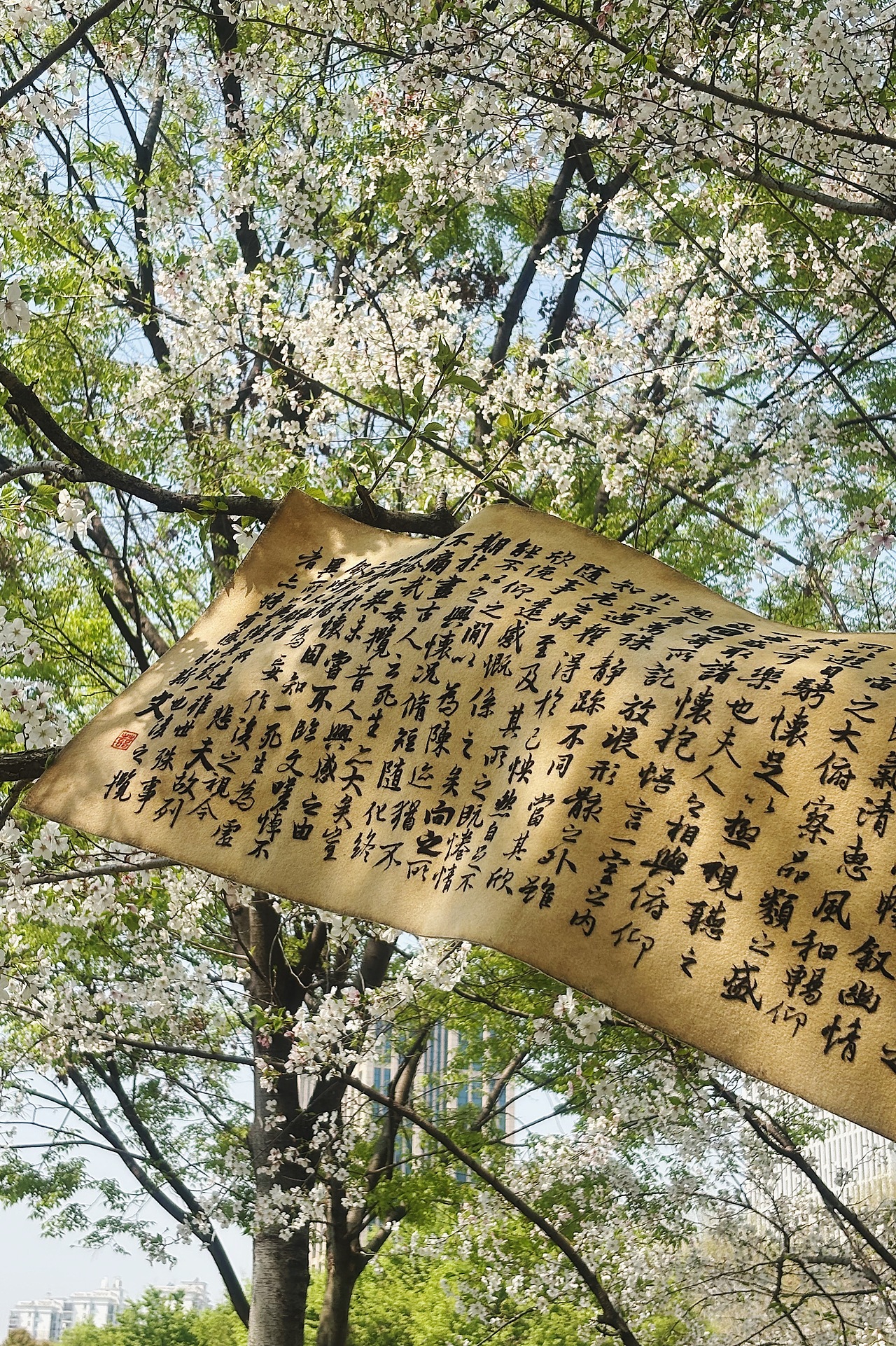 我用羊毛写了一幅《兰亭序》