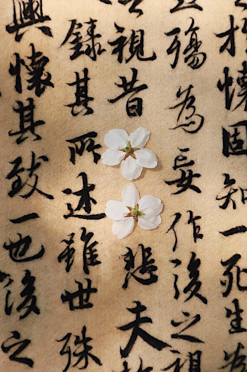 我用羊毛写了一幅《兰亭序》