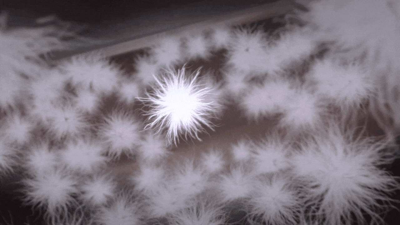 安踏儿童冰甲羽绒服CG影片（图ZMzg4NDE5NzA0） - 产品 - 站酷设计师ZYFancy原创素材 - 站酷ZCOOL