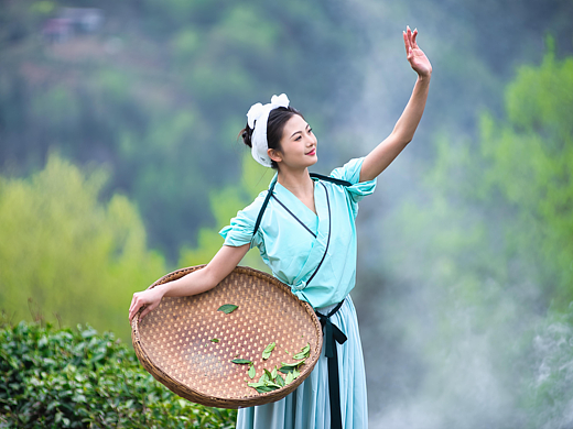 【紫阳茶旅研学】半亩茶园