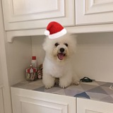 安天格的头像