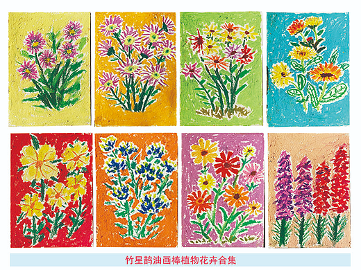油画棒植物花卉手绘插画作品集