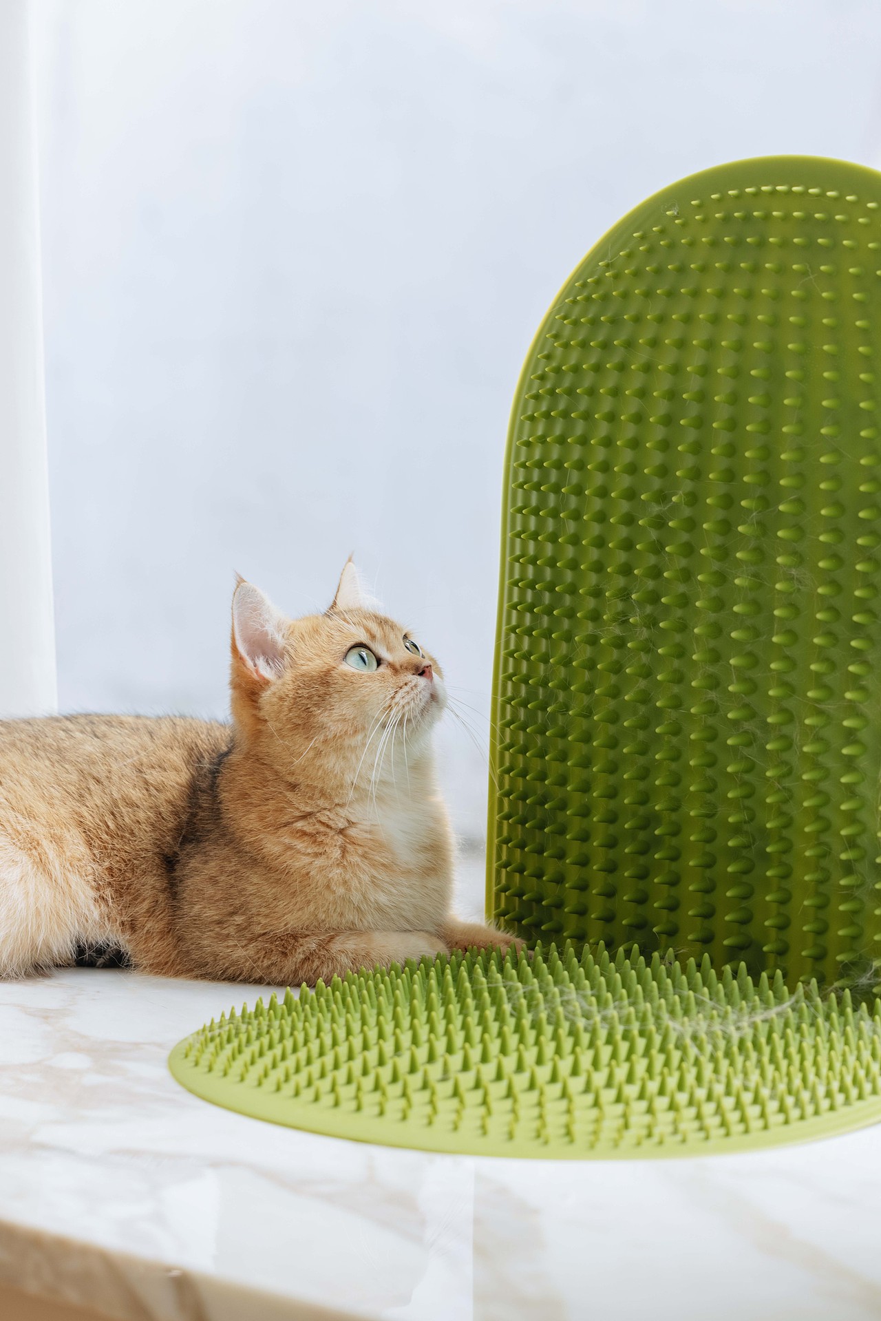 小呵 ohhpet 宠物蹭痒系列（图ZMzg4NDUxNzc2） - 生活用品 - 站酷设计师XV7028原创素材 - 站酷ZCOOL