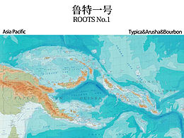 Woody 文案作品之一