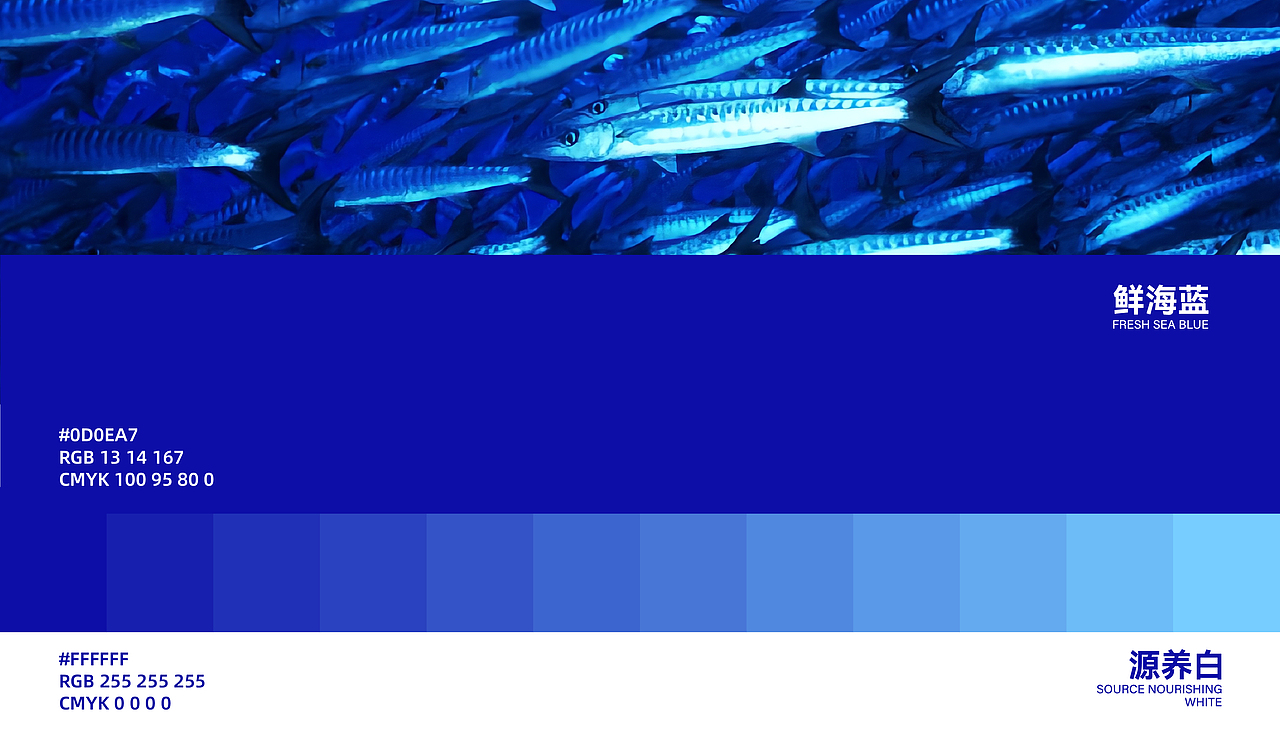 AIKO | 宠物零食包装设计