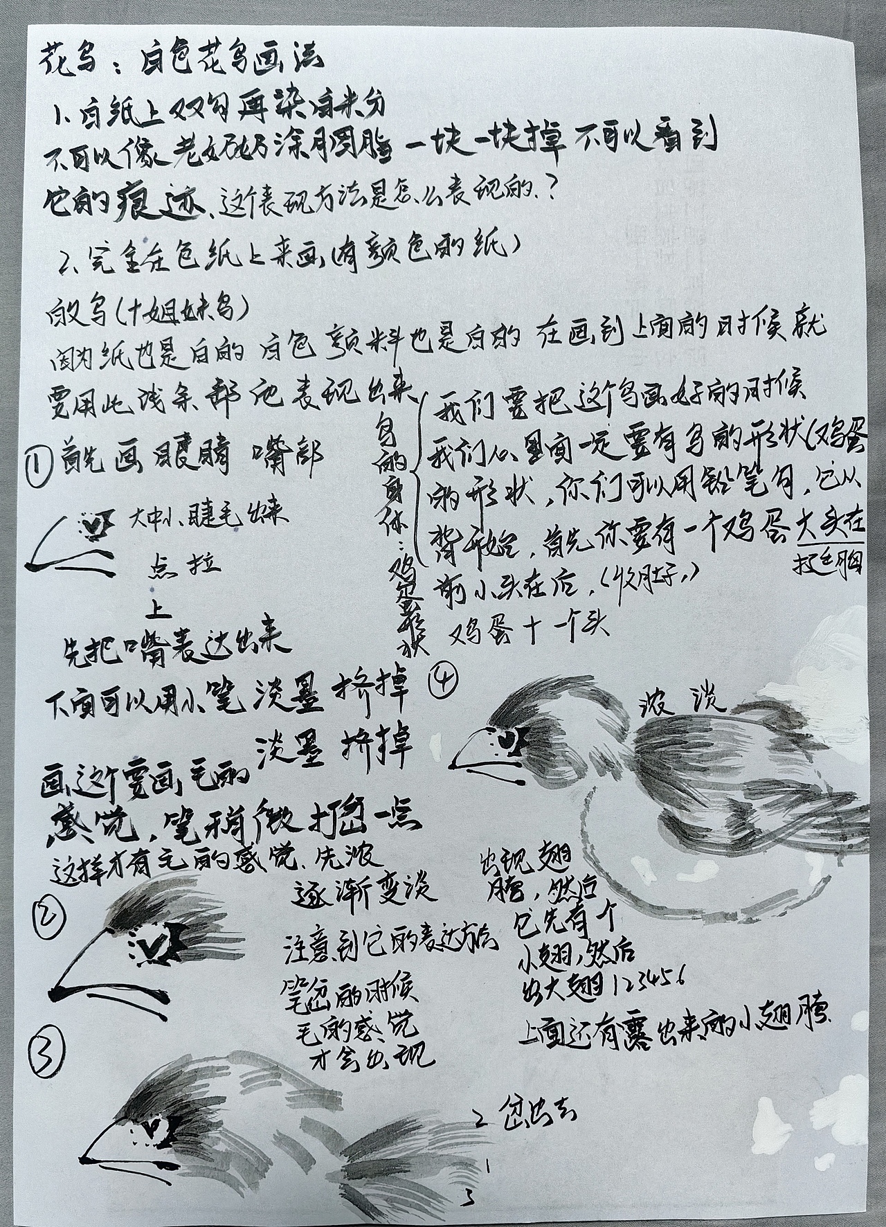 国画基础技法-白色花鸟画法教程