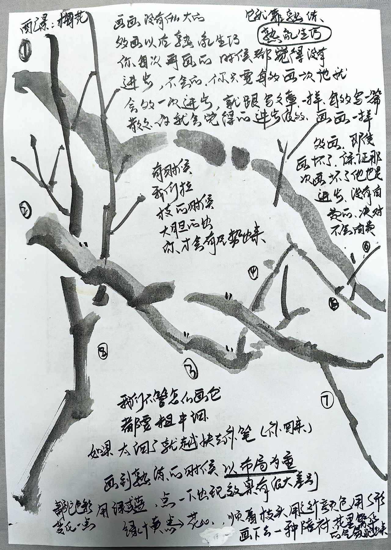 国画基础技法-白色花鸟画法教程