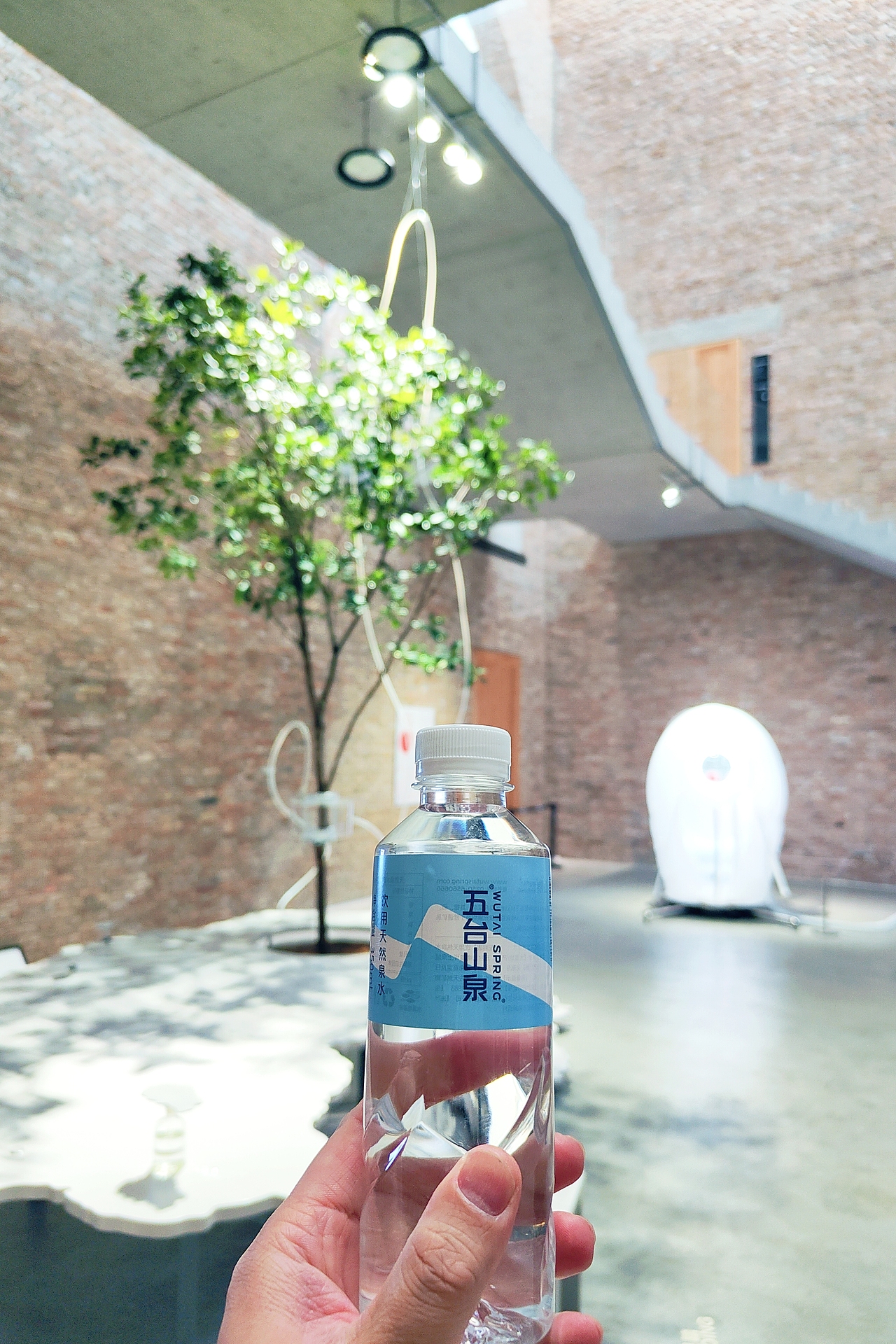 五台山泉打卡征候视界艺术展