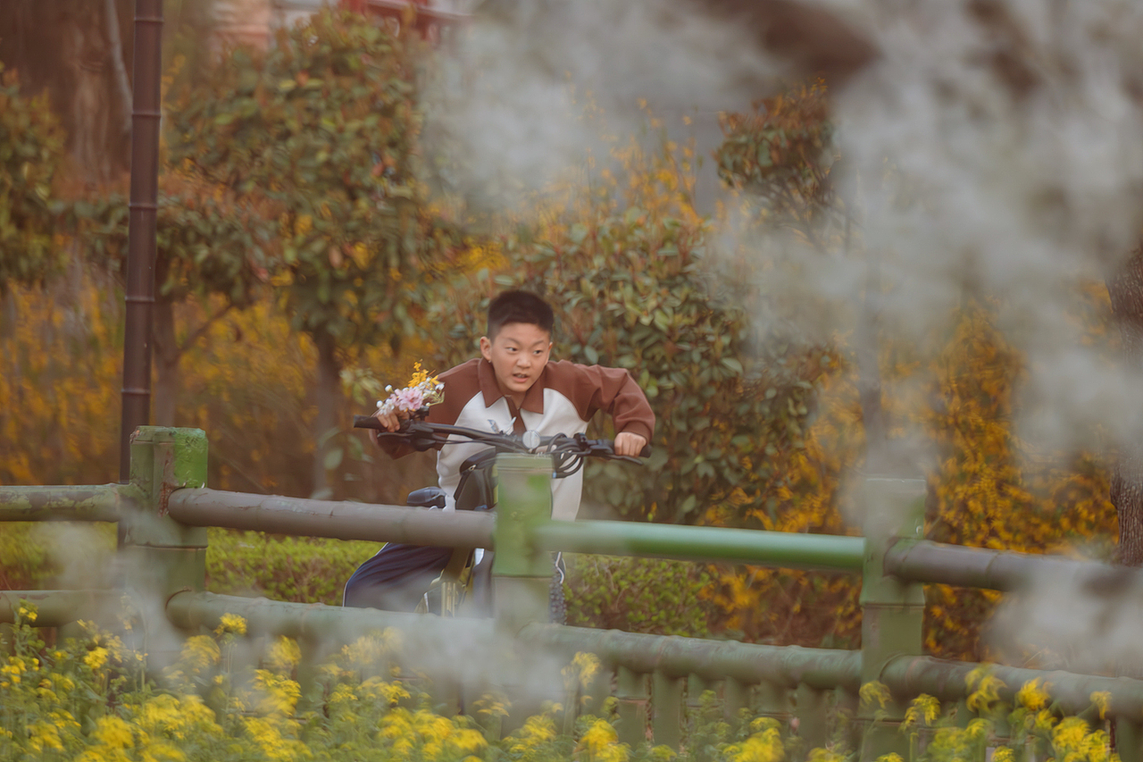 文侯公园赏梨花