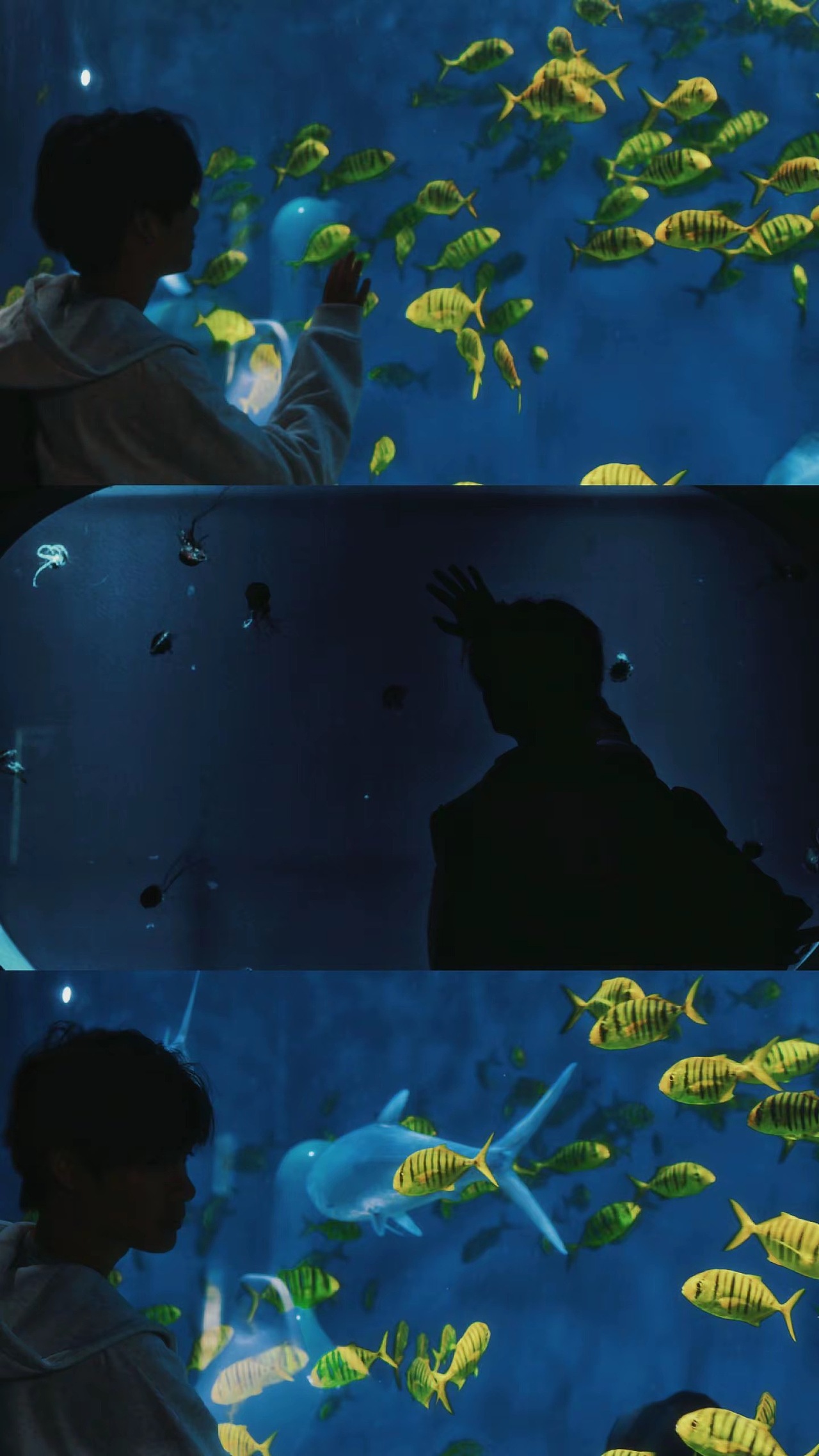 海的深处真的能见到美人鱼吗？（图ZMzg4NTEzMjAw） - 人像摄影 - 站酷设计师阿骏同学原创素材 - 站酷ZCOOL