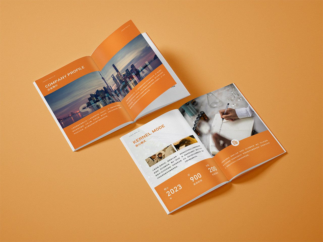 企业宣传画册｜高级感公司简介简约设计（图ZMzg4NTE5MzQ4） - 书籍/画册 - 站酷设计师逆饮原创素材 - 站酷ZCOOL