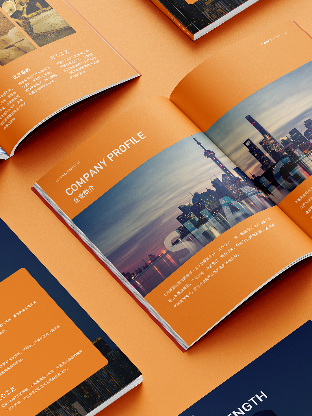 企业宣传画册｜高级感公司简介简约设计（图ZMzg4NTE5MzQ0） - 书籍/画册 - 站酷设计师逆饮原创素材 - 站酷ZCOOL