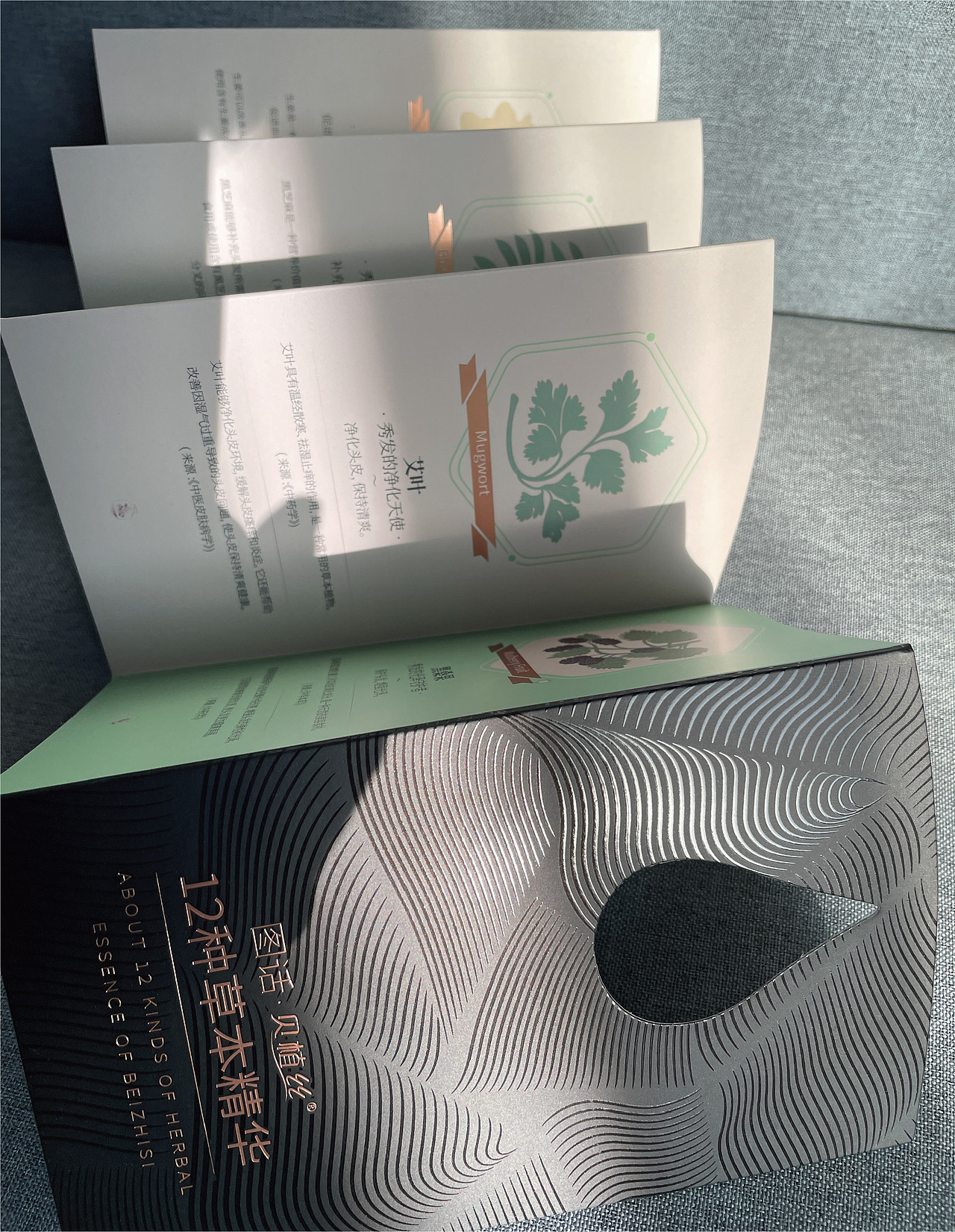 洗护用品-护发素包装策划设计