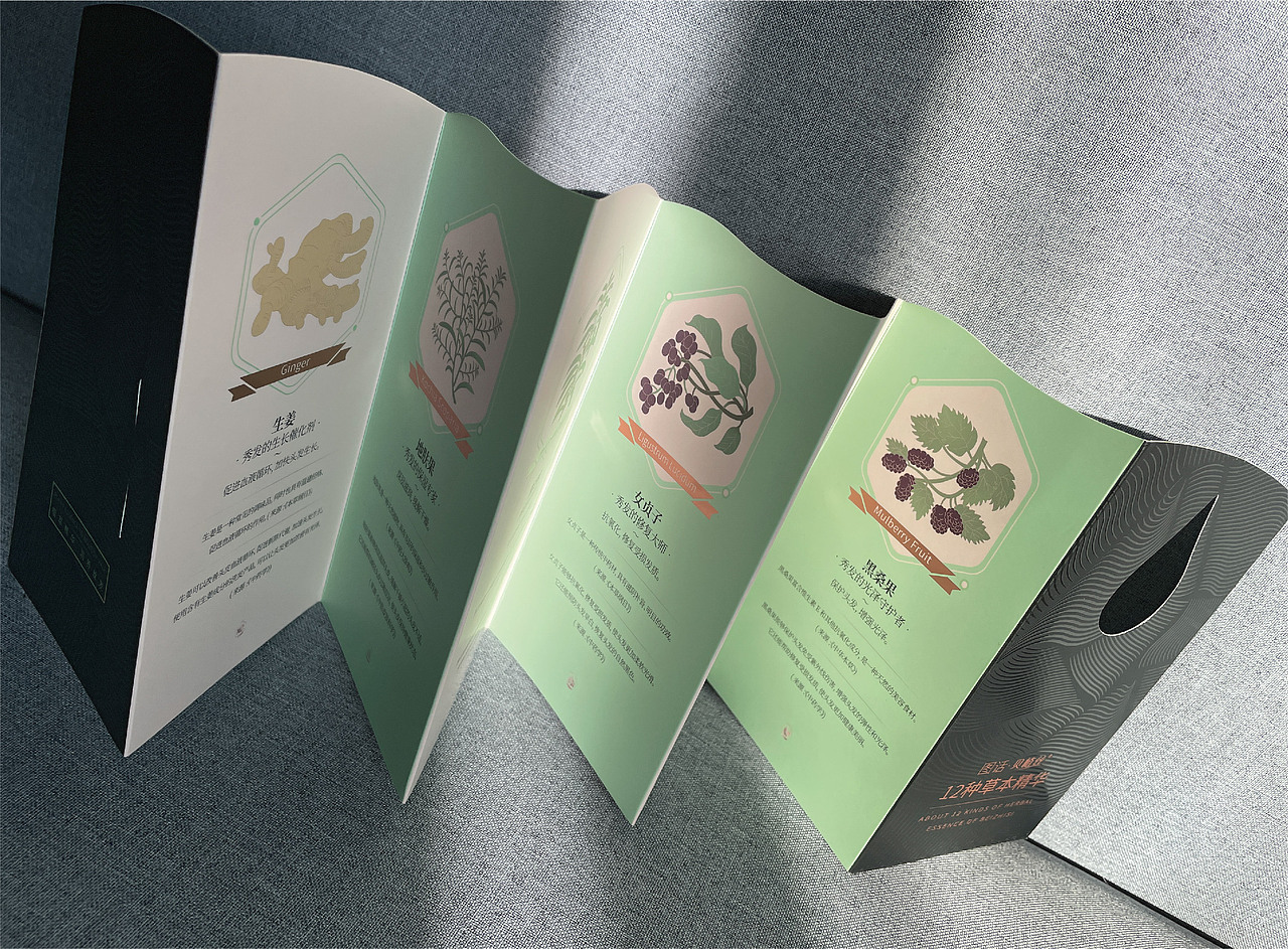 洗护用品-护发素包装策划设计