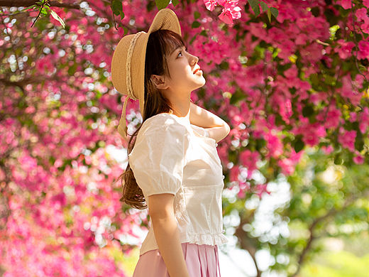 深圳杜鹃花开 三角梅 春天拍花 春天拍照 赏花的季