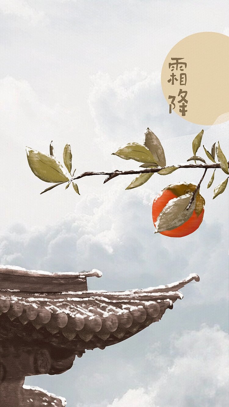 5年前,我在站酷种下一颗树