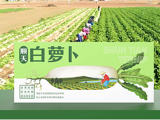 顺天萝卜×龙图设计丨河源市乡村振兴消费帮扶项目