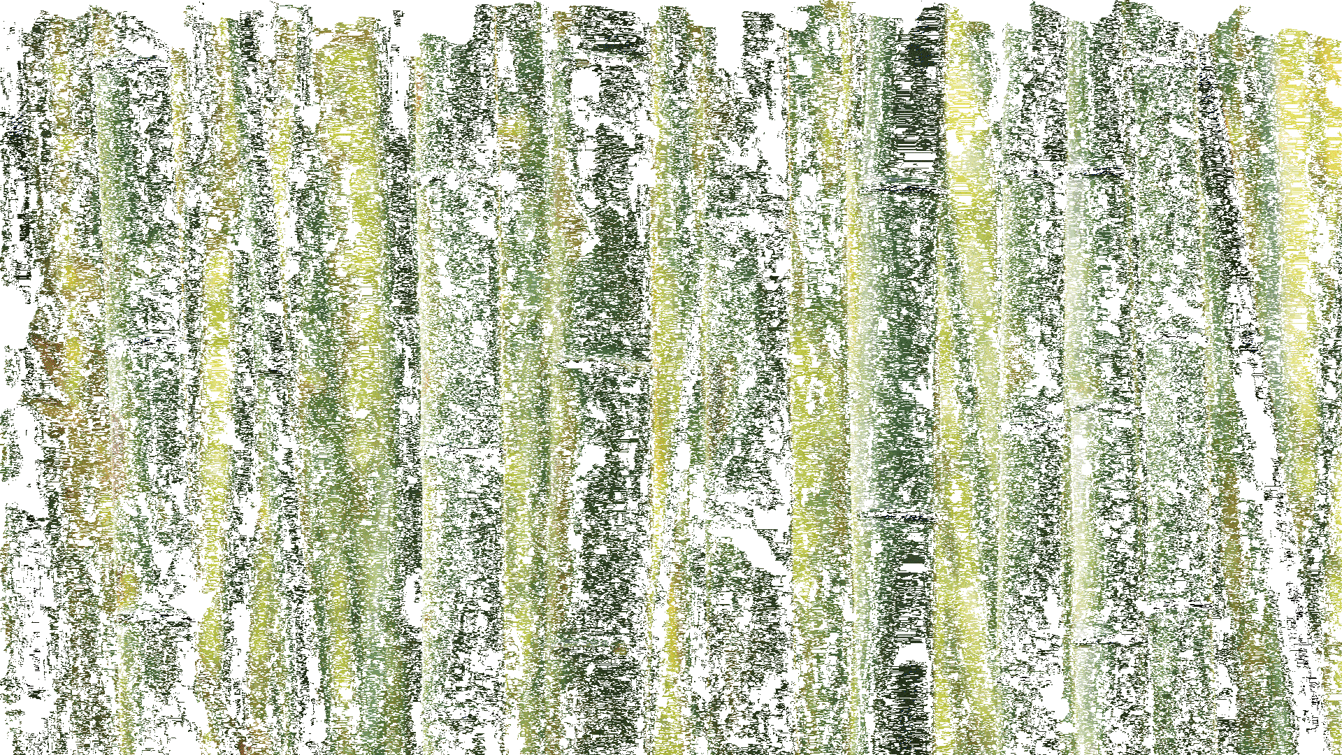 中安物流品牌升级设计（图ZMzg4NTQzODg0） - 品牌 - 站酷设计师旦生品牌DanSing原创素材 - 站酷ZCOOL