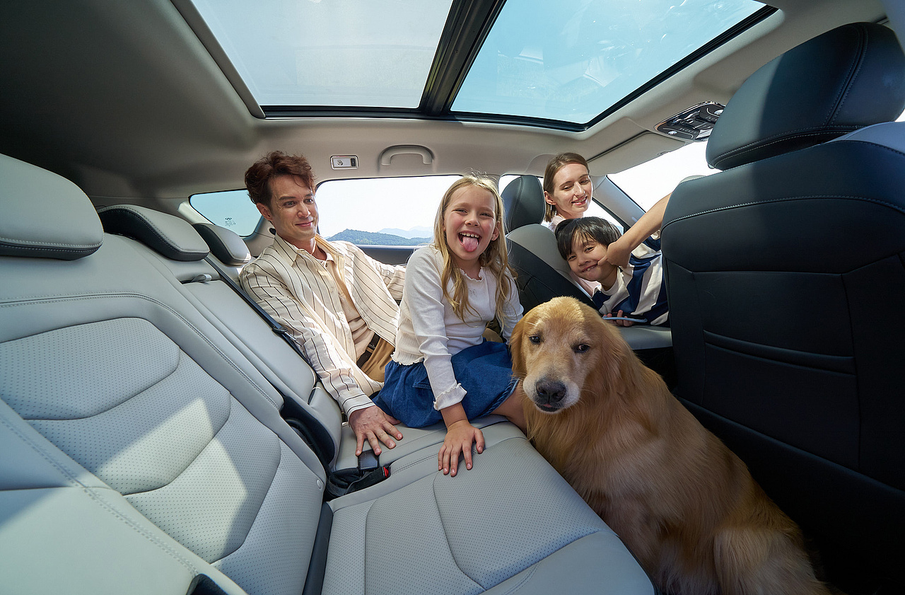 汽车美图 ｜姐弟带上狗狗和爸妈去旅行（图ZMzg4NTQ4NTA4） - 产品摄影 - 站酷设计师王昌龙WangEthan原创素材 - 站酷ZCOOL