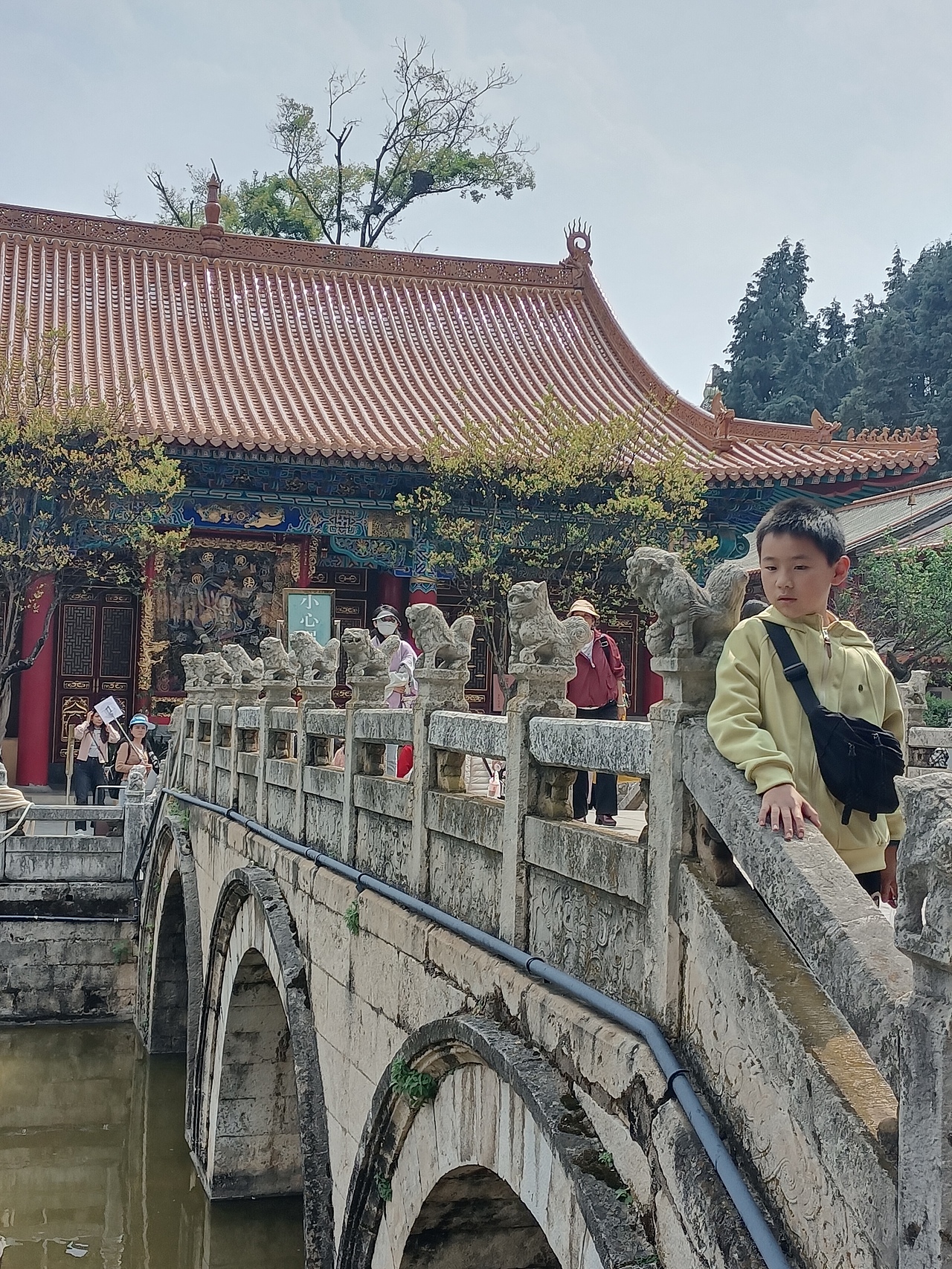 游学翠湖+圆通寺